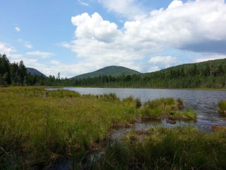 The Dennis Pond Wetlands in Brunswick are being considered for Class I designation, the highest level of state wetland protection under the Vermont Wetland Rules.