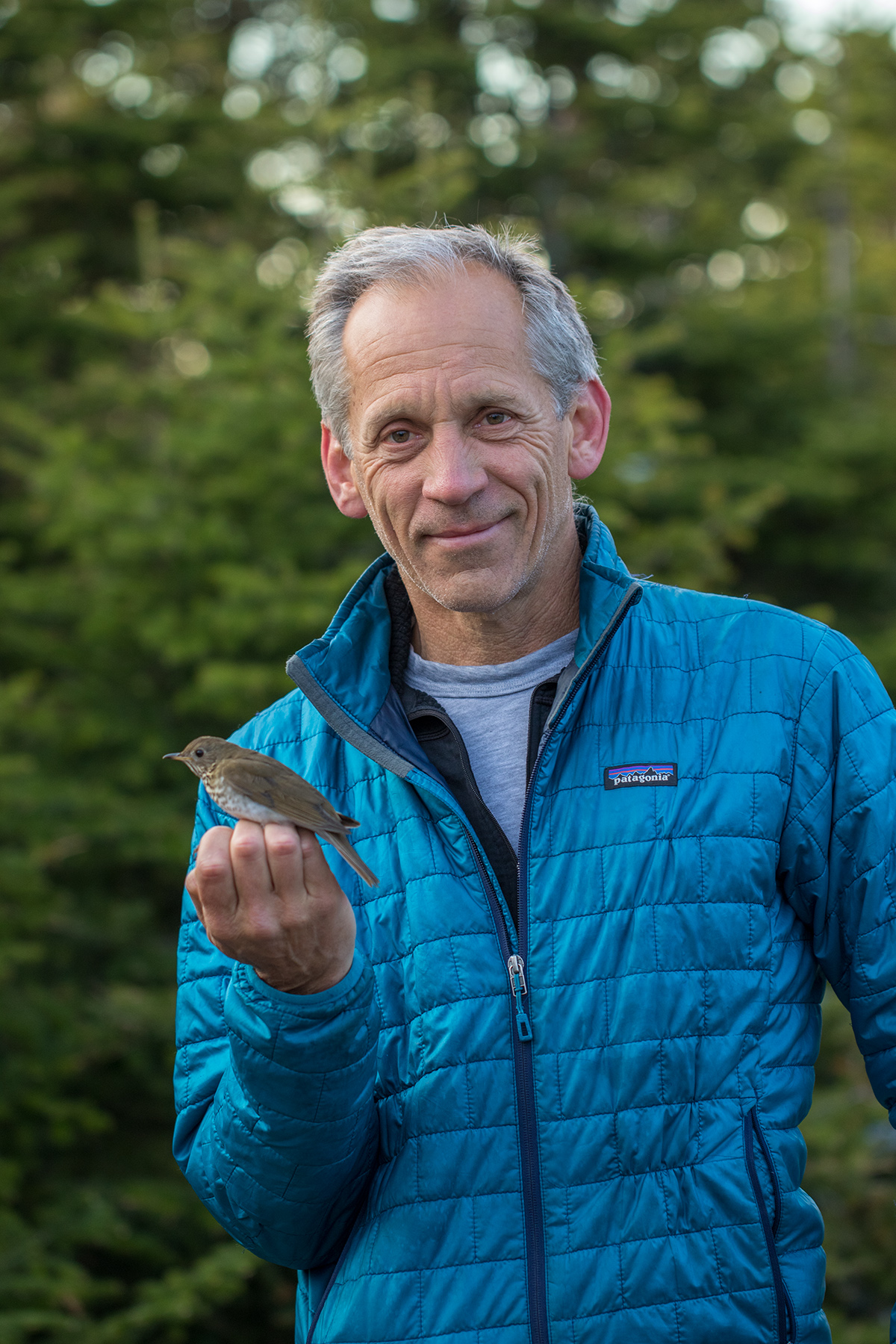 Chris Rimmer with Bicknell Thrush