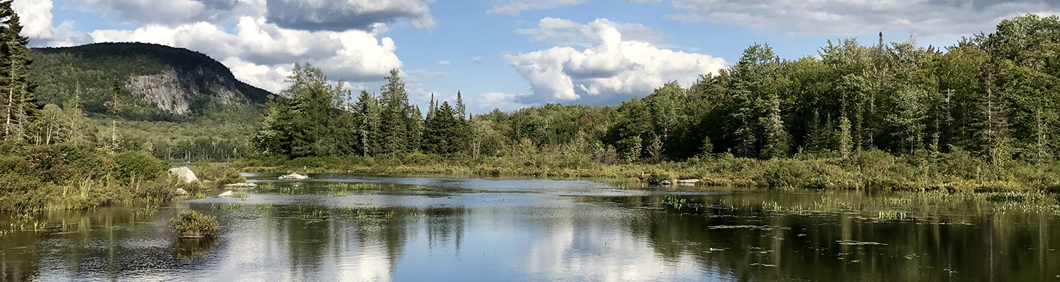 Vermont pond