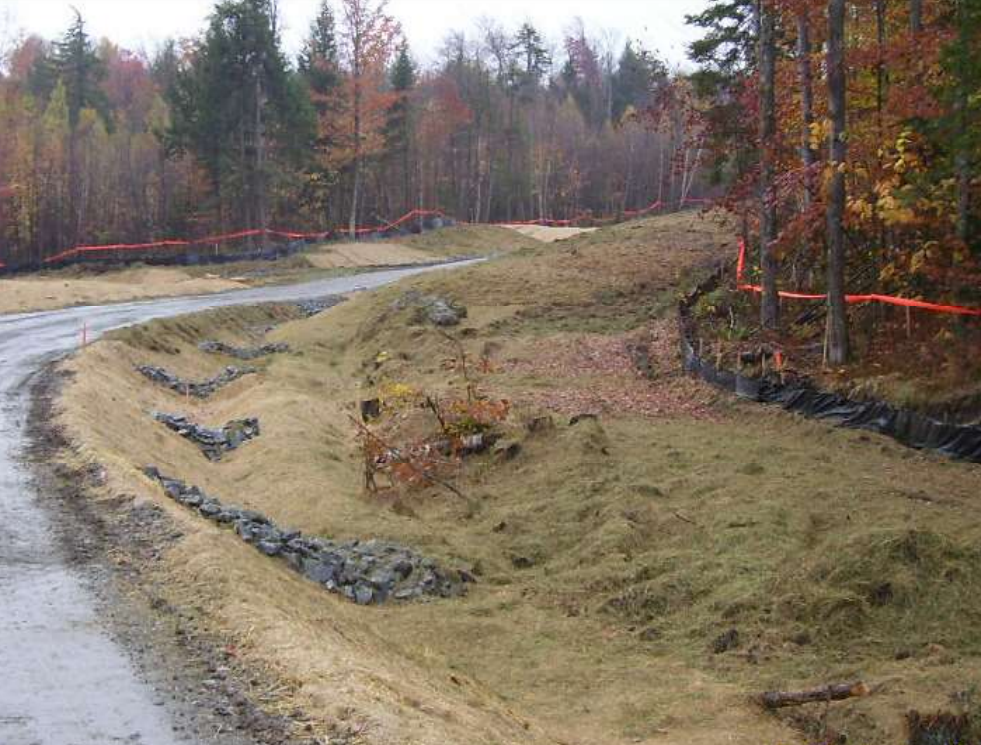 Stone or rock check dams slow erosion in drainage channels.