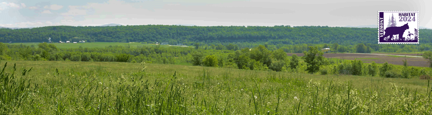 grasslands, habitat stamp