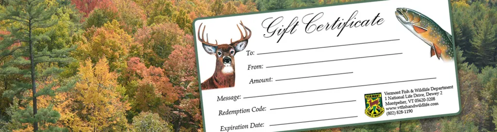 fall foliage, gift certificate overlay